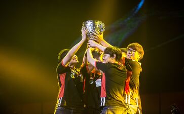 开元官网健身器材重量是单个